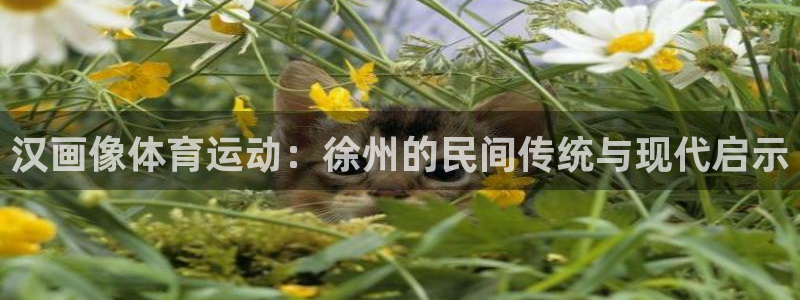 汉画像体育运动：徐州的民间传统与现代启示