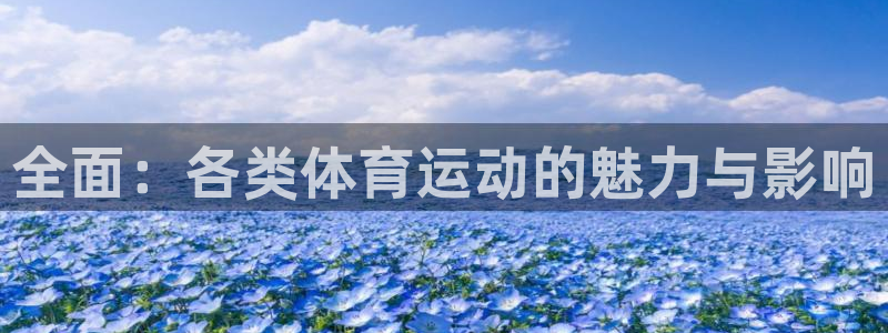 全面：各类体育运动的魅力与影响