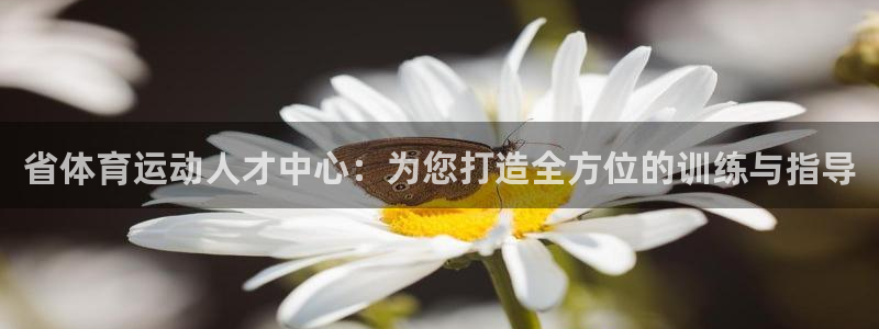 省体育运动人才中心：为您打造全方位的训练与指导