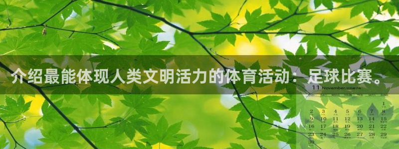 介绍最能体现人类文明活力的体育活动：足球比赛。