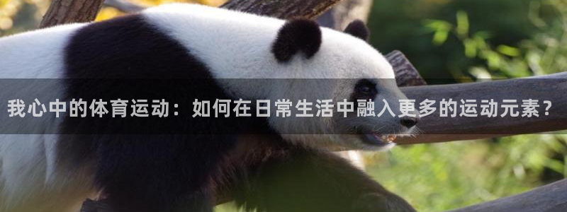 我心中的体育运动：如何在日常生活中融入更多的运动元素？