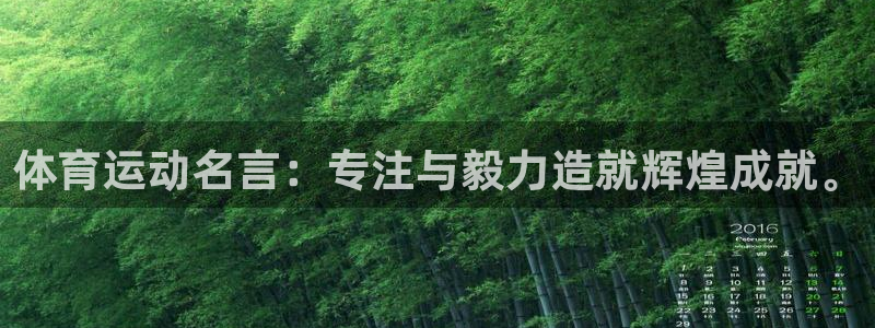 体育运动名言：专注与毅力造就辉煌成就。