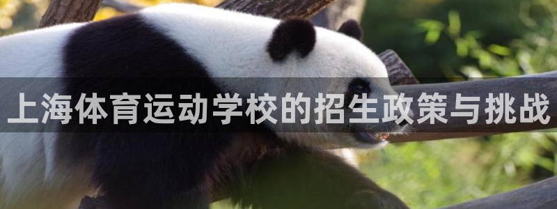 上海体育运动学校的招生政策与挑战